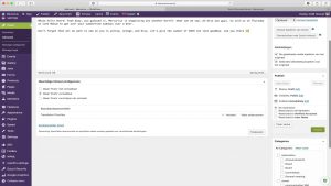 wordpress wpml berichten vertale bij de Google Workspace specialist